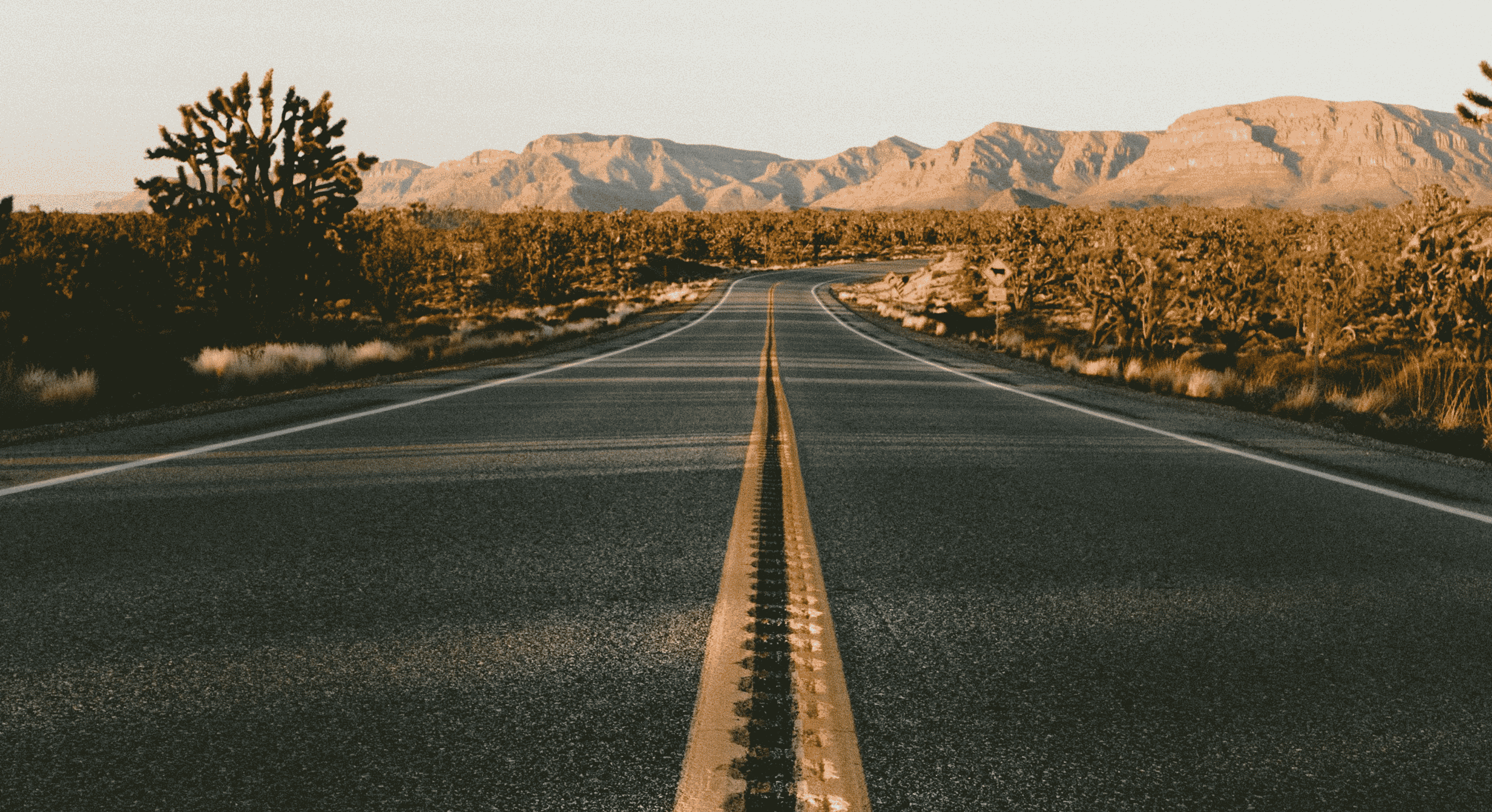 desert road