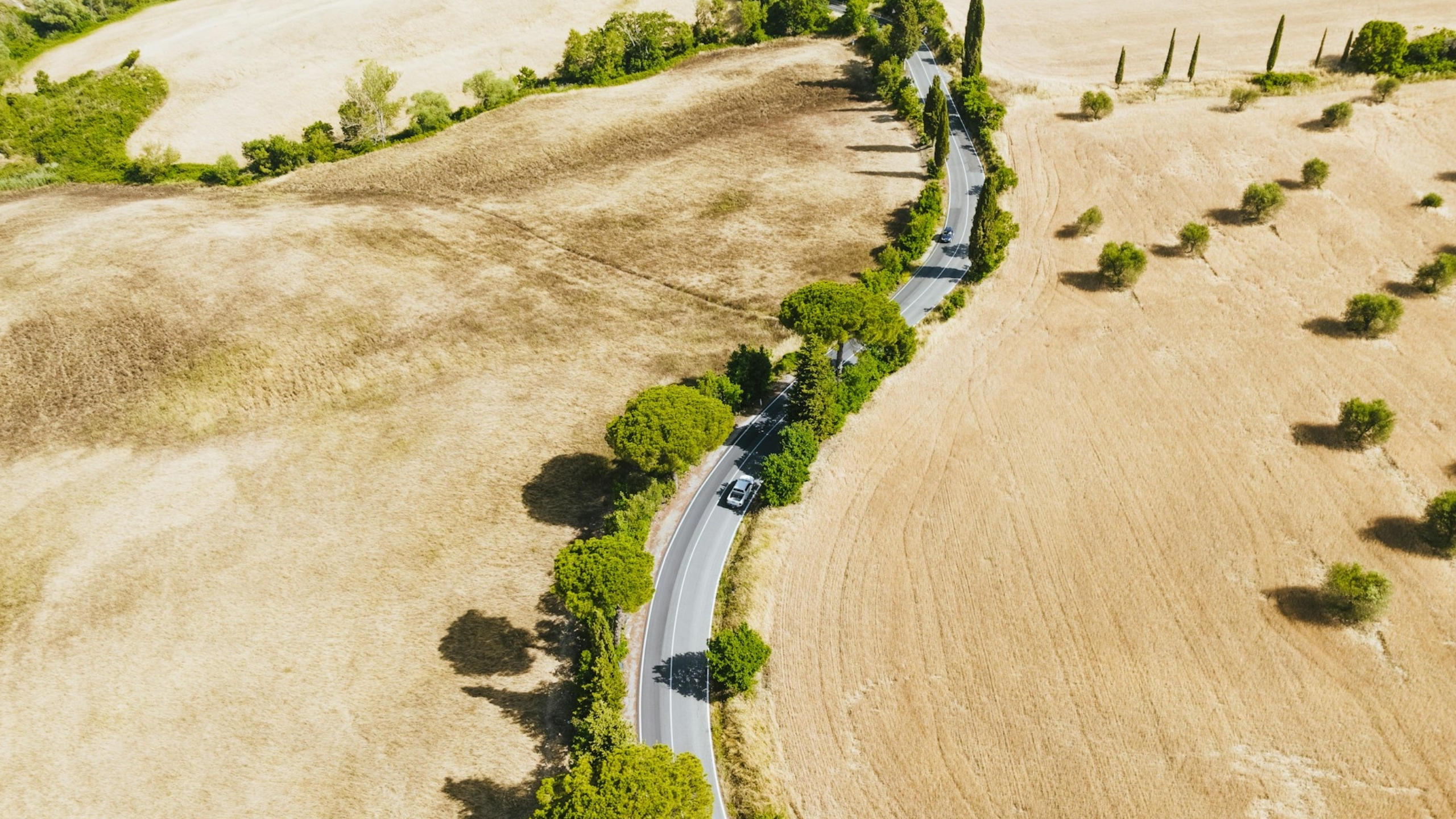 Aerial view of a tree-lined road winding through farmland