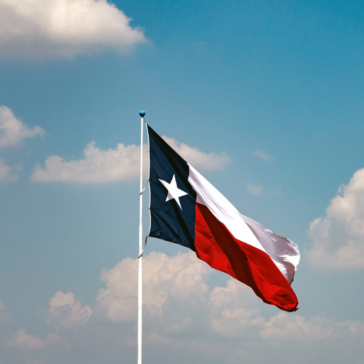 Texas Flag