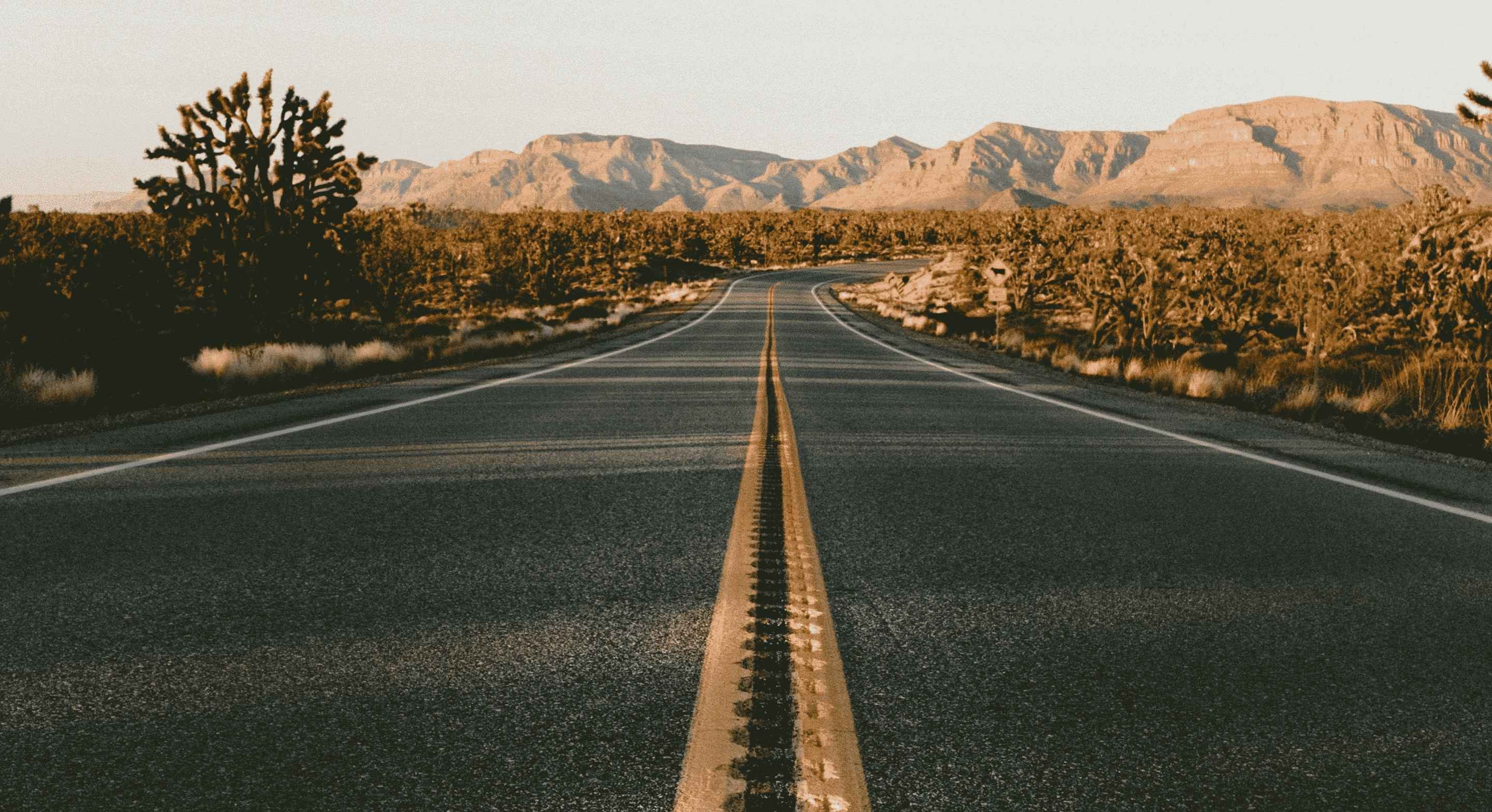 road in between desert