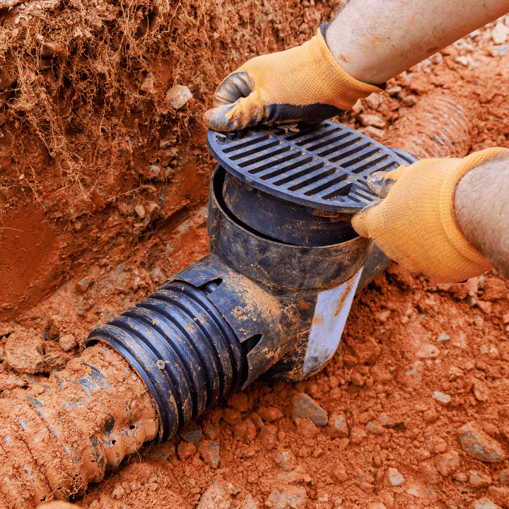 Drain Mud