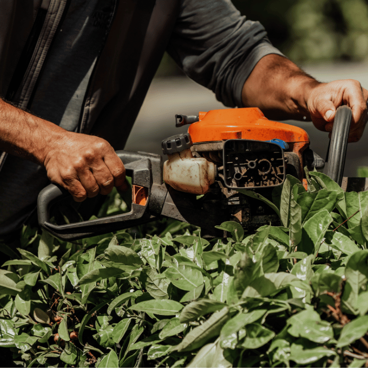 Hedge Trim Key Benefits