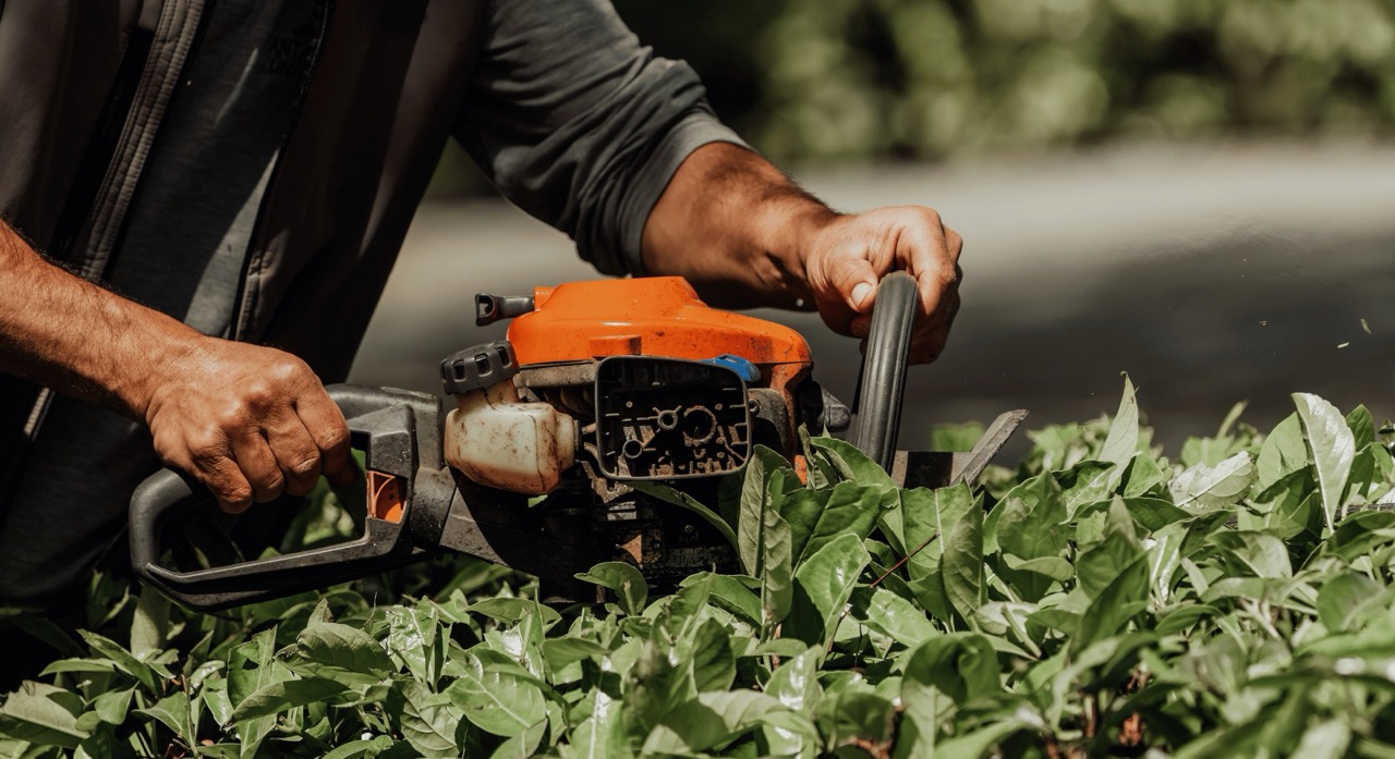 Landscaping Header