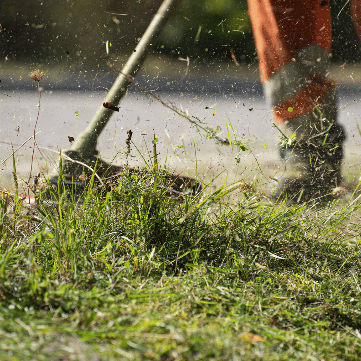 Lawn Mowing