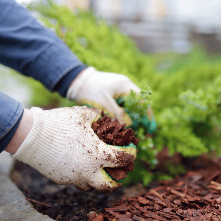 Mulch Key Benefits