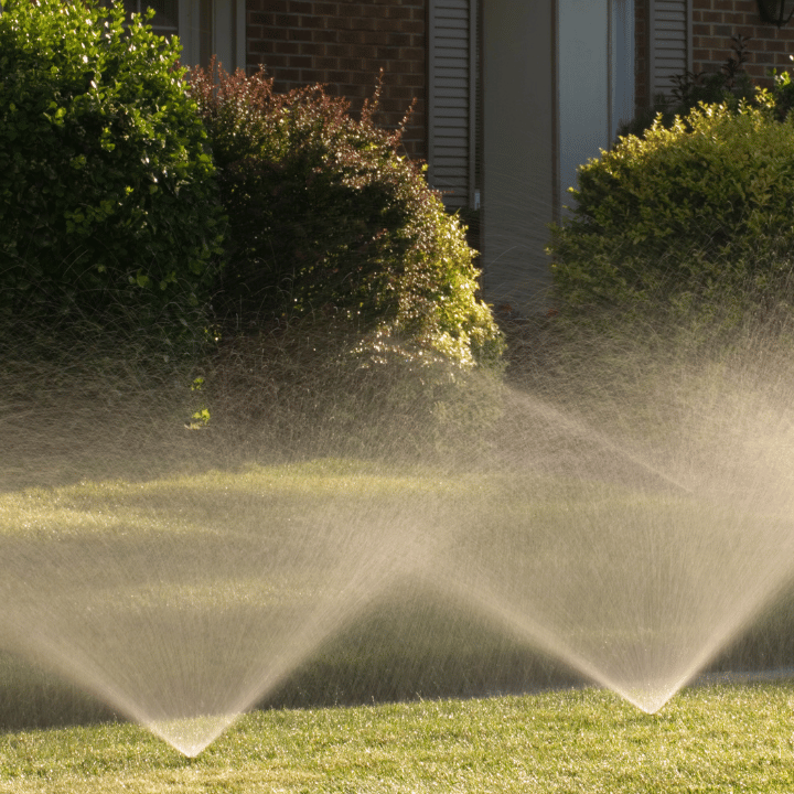 Sprinklers