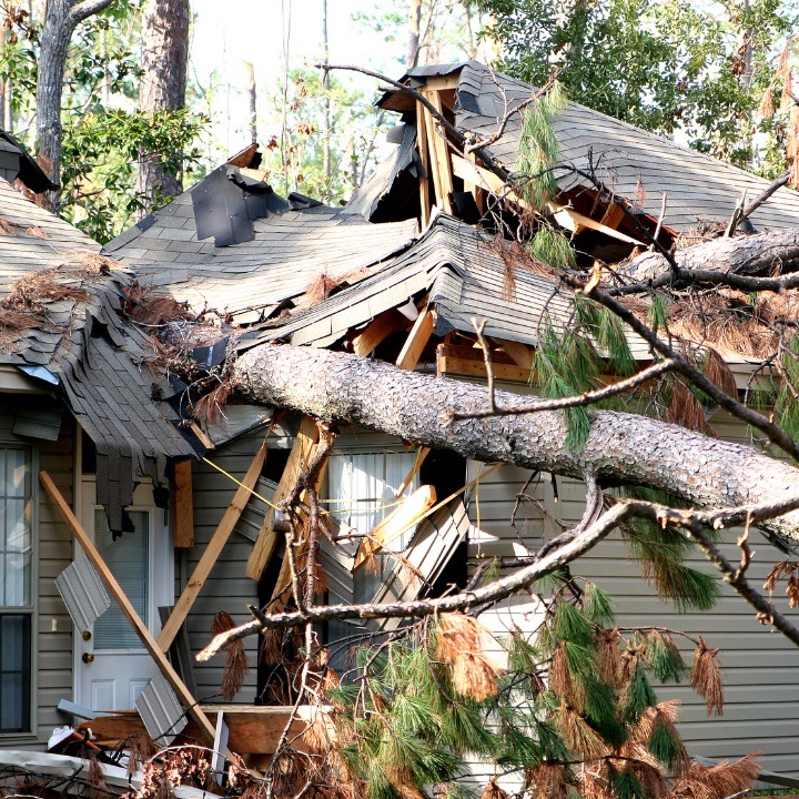 Tree on house